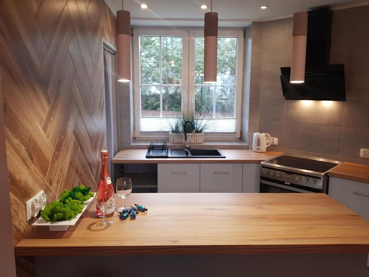 Apartamenty Paszkowka Pietrzykowice  ภายนอก รูปภาพ
