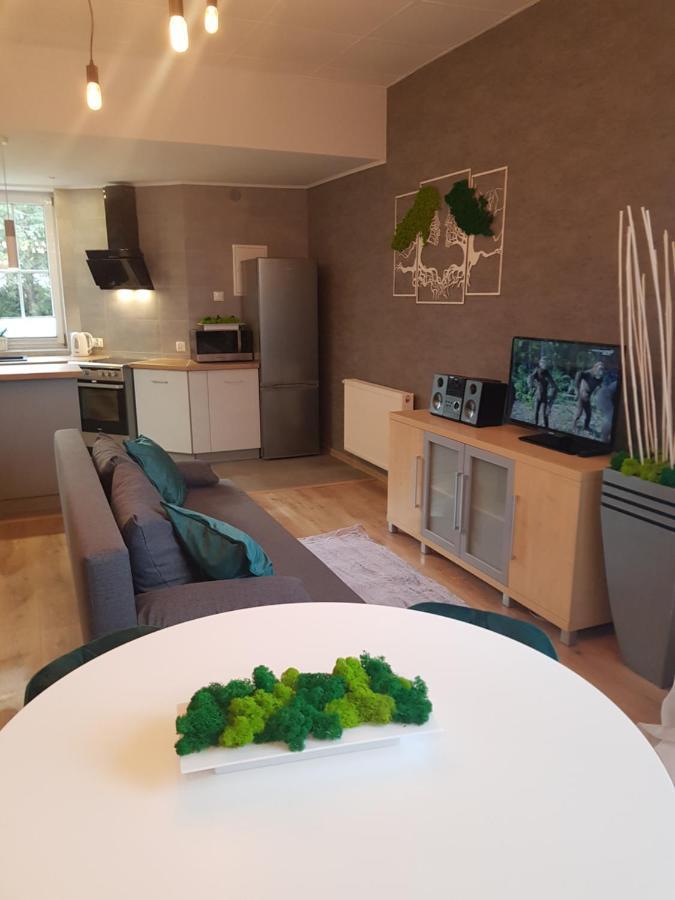 Apartamenty Paszkowka Pietrzykowice  ภายนอก รูปภาพ